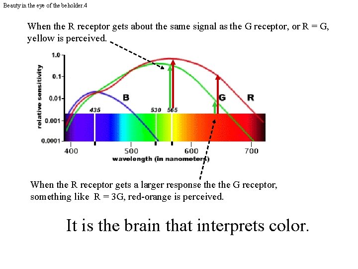 Beauty in the eye of the beholder. 4 When the R receptor gets about
