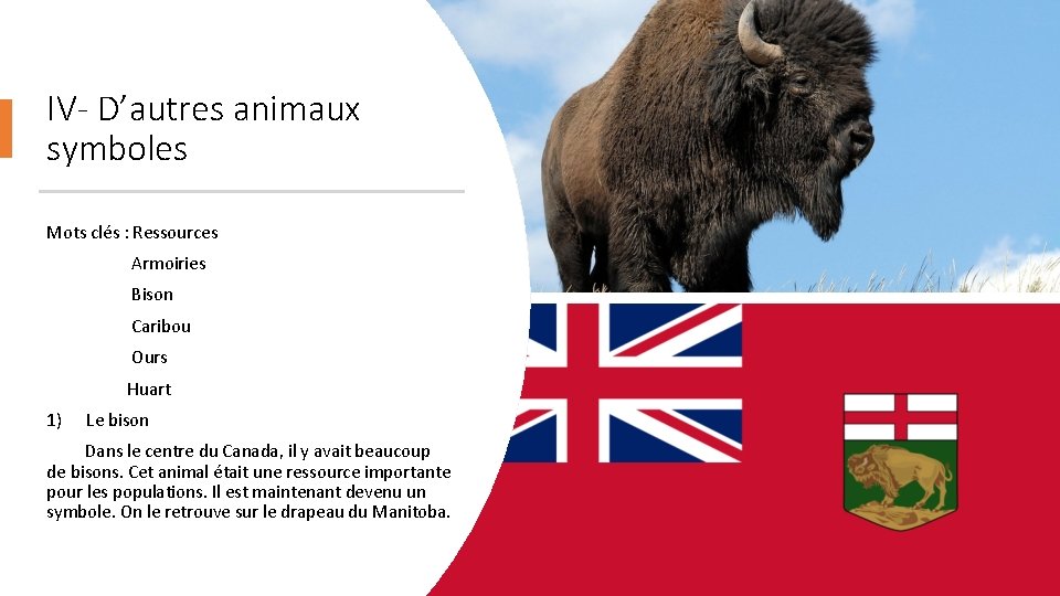 IV- D’autres animaux symboles Mots clés : Ressources Armoiries Bison Caribou Ours Huart 1)