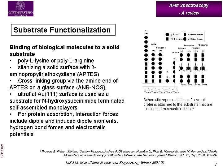 AFM Spectroscopy - A review Substrate Functionalization 9/11/2021 Binding of biological molecules to a