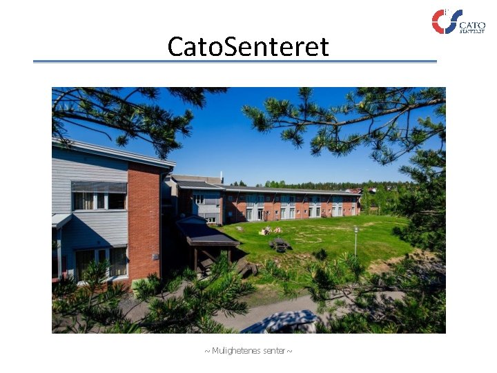 Cato. Senteret ~ Mulighetenes senter~ 