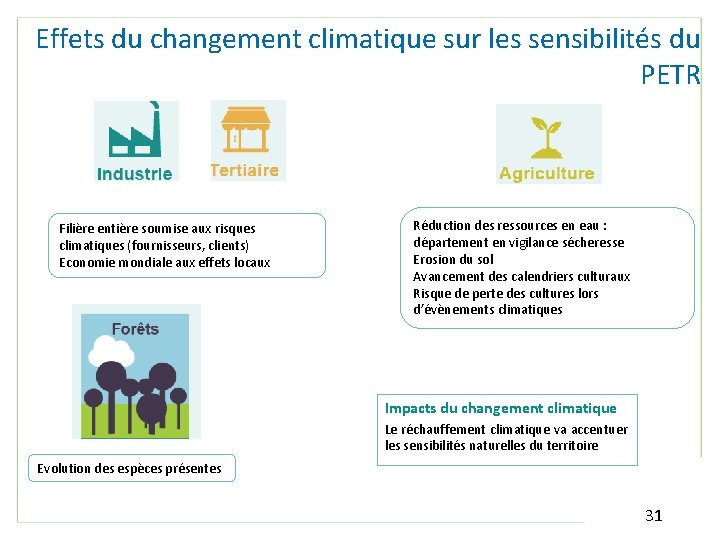 Effets du changement climatique sur les sensibilités du PETR Filière entière soumise aux risques