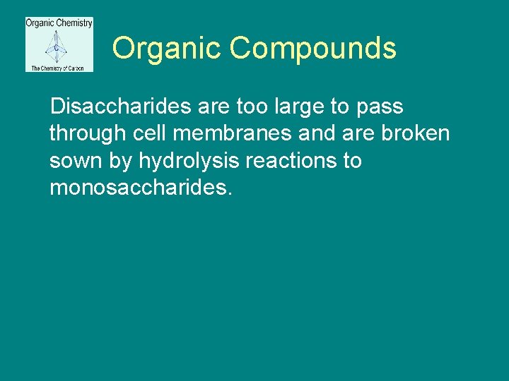 Organic Compounds Disaccharides are too large to pass through cell membranes and are broken