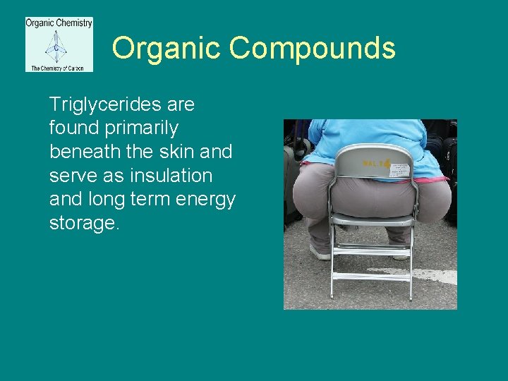 Organic Compounds Triglycerides are found primarily beneath the skin and serve as insulation and