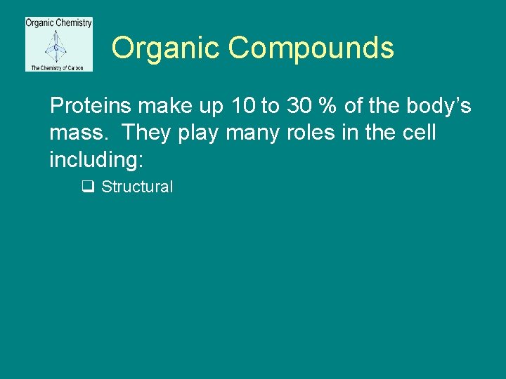 Organic Compounds Proteins make up 10 to 30 % of the body’s mass. They