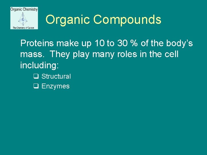 Organic Compounds Proteins make up 10 to 30 % of the body’s mass. They