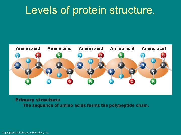 Levels of protein structure. Amino acid Amino acid Primary structure: The sequence of amino