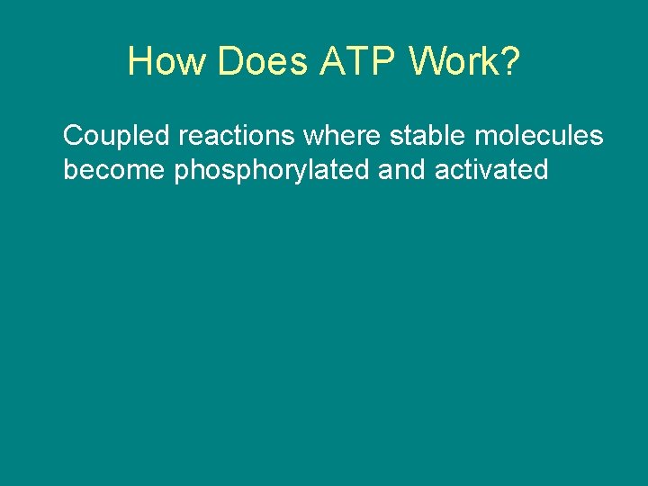 How Does ATP Work? Coupled reactions where stable molecules become phosphorylated and activated 