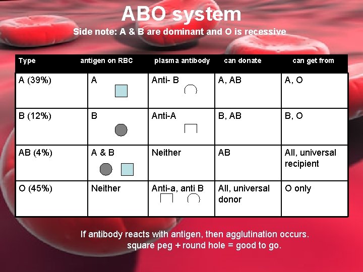 ABO system Side note: A & B are dominant and O is recessive Type