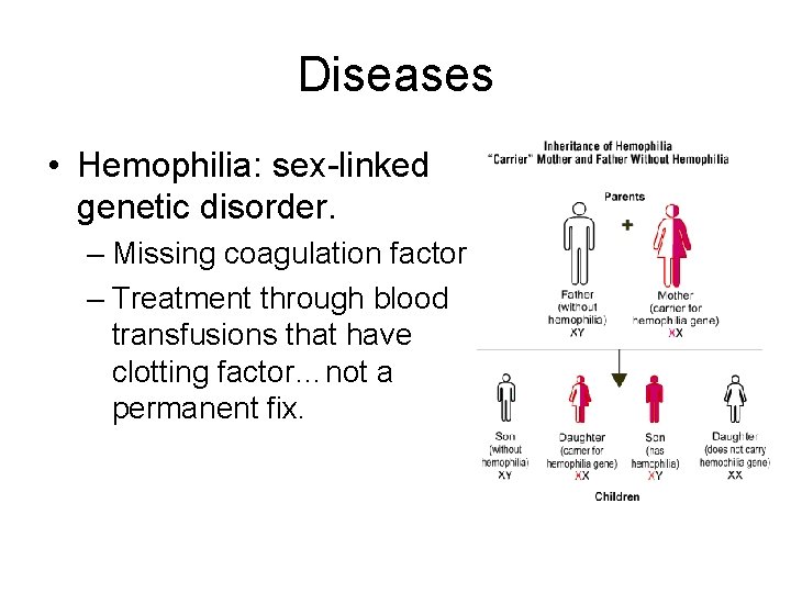 Diseases • Hemophilia: sex-linked genetic disorder. – Missing coagulation factors. – Treatment through blood