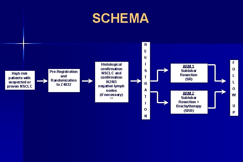 SCHEMA R E G High risk patients with suspected or proven NSCLC Pre-Registration and