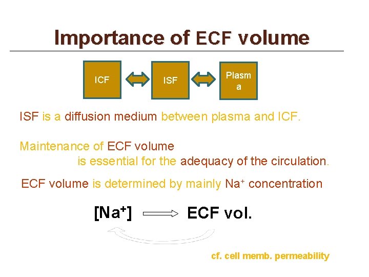 Importance of ECF volume ICF ISF Plasm a ISF is a diffusion medium between