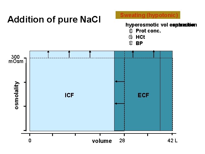 Addition of pure Na. Cl Sweating (hypotonic) Na. Cl addition hyperosmotic vol contraction expansion