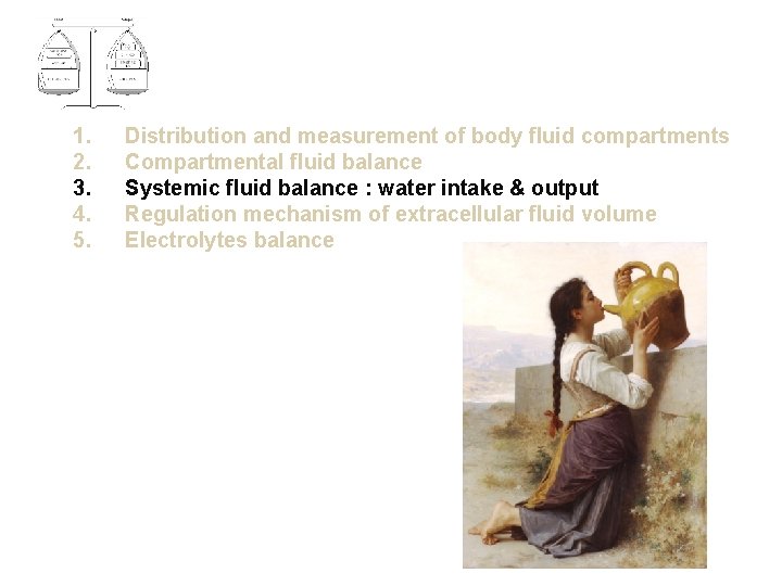 1. 2. 3. 4. 5. Distribution and measurement of body fluid compartments Compartmental fluid