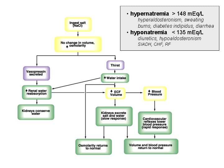  • hypernatremia > 148 m. Eq/L hyperaldosteronism, sweating burns, diabetes indipidus, diarrhea •