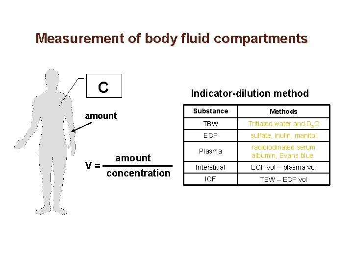 Measurement of body fluid compartments C Indicator-dilution method amount V= amount concentration Substance Methods