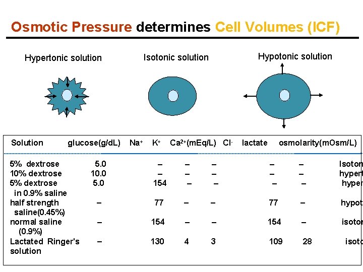 Osmotic Pressure determines Cell Volumes (ICF) Solution glucose(g/d. L) 5% dextrose 10% dextrose 5%
