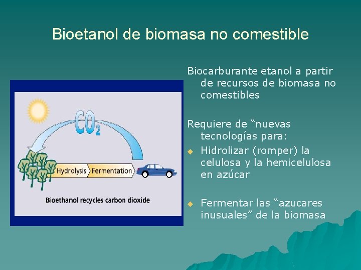 Bioetanol de biomasa no comestible Biocarburante etanol a partir de recursos de biomasa no