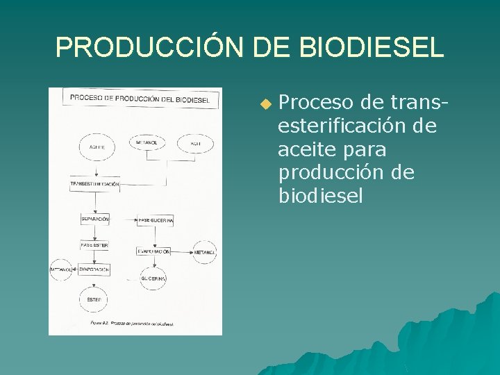 PRODUCCIÓN DE BIODIESEL u Proceso de transesterificación de aceite para producción de biodiesel 