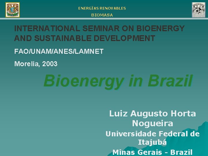 ENERGÏAS RENOVABLES BIOMASA INTERNATIONAL SEMINAR ON BIOENERGY AND SUSTAINABLE DEVELOPMENT FAO/UNAM/ANES/LAMNET Morelia, 2003 Bioenergy