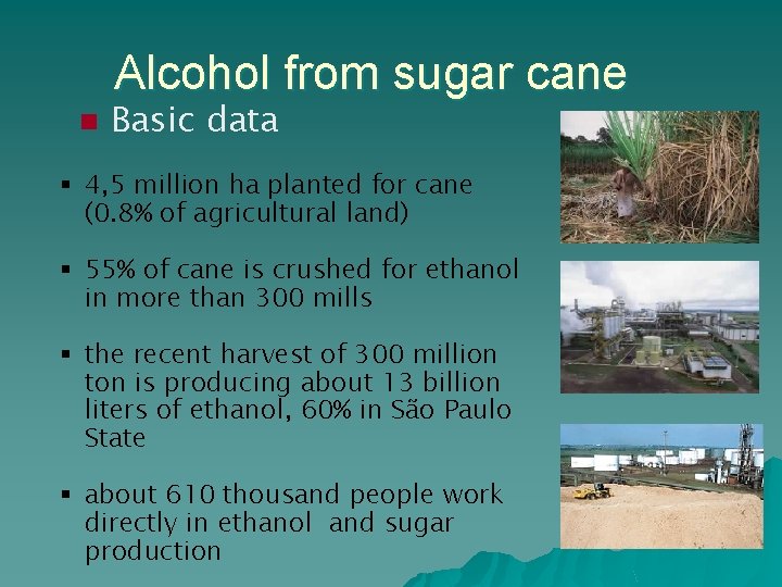 Alcohol from sugar cane n Basic data § 4, 5 million ha planted for