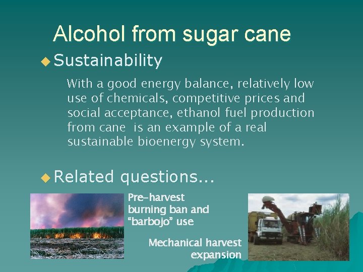 Alcohol from sugar cane u Sustainability With a good energy balance, relatively low use