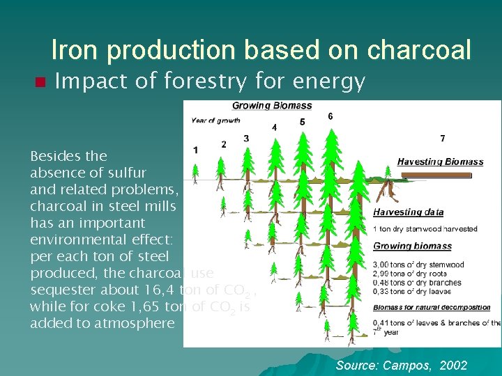 Iron production based on charcoal n Impact of forestry for energy Besides the absence