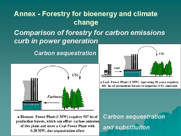 Annex - Forestry for bioenergy and climate change Comparison of forestry for carbon emissions