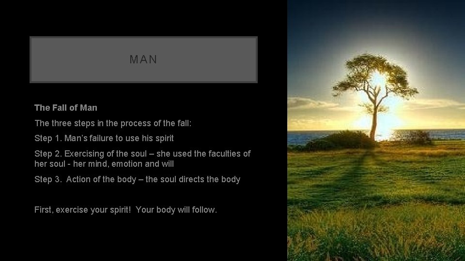 MAN The Fall of Man The three steps in the process of the fall: