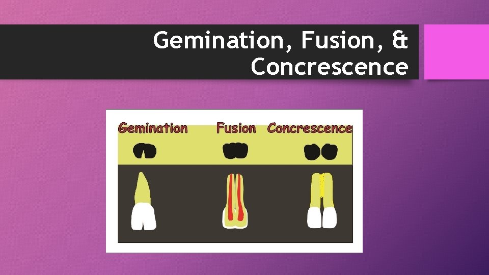 Gemination, Fusion, & Concrescence 