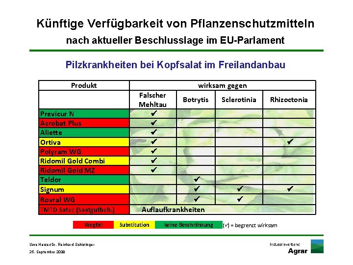 Künftige Verfügbarkeit von Pflanzenschutzmitteln nach aktueller Beschlusslage im EU-Parlament Pilzkrankheiten bei Kopfsalat im Freilandanbau