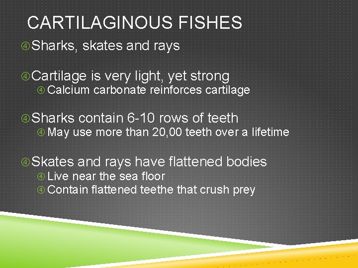 CARTILAGINOUS FISHES Sharks, skates and rays Cartilage is very light, yet strong Calcium carbonate