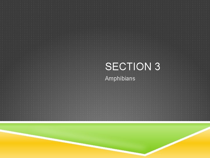 SECTION 3 Amphibians 