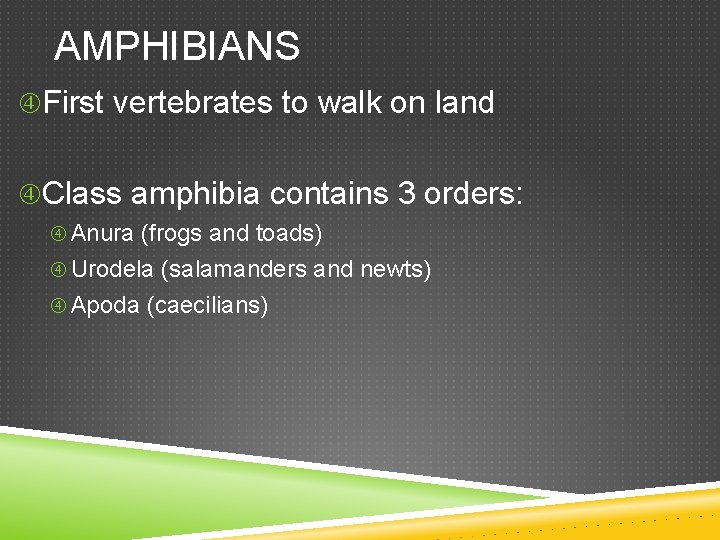 AMPHIBIANS First vertebrates to walk on land Class amphibia contains 3 orders: Anura (frogs