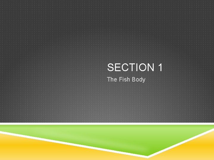 SECTION 1 The Fish Body 