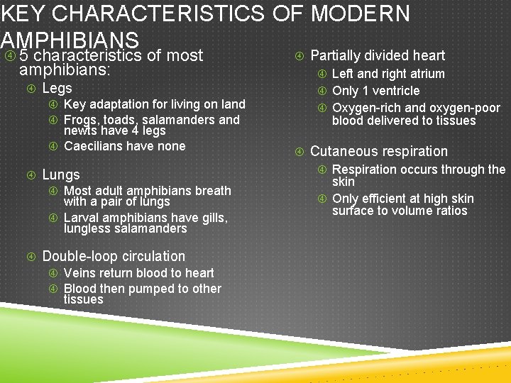 KEY CHARACTERISTICS OF MODERN AMPHIBIANS 5 characteristics of most amphibians: Legs Key adaptation for