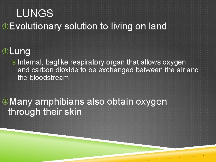 LUNGS Evolutionary solution to living on land Lung Internal, baglike respiratory organ that allows