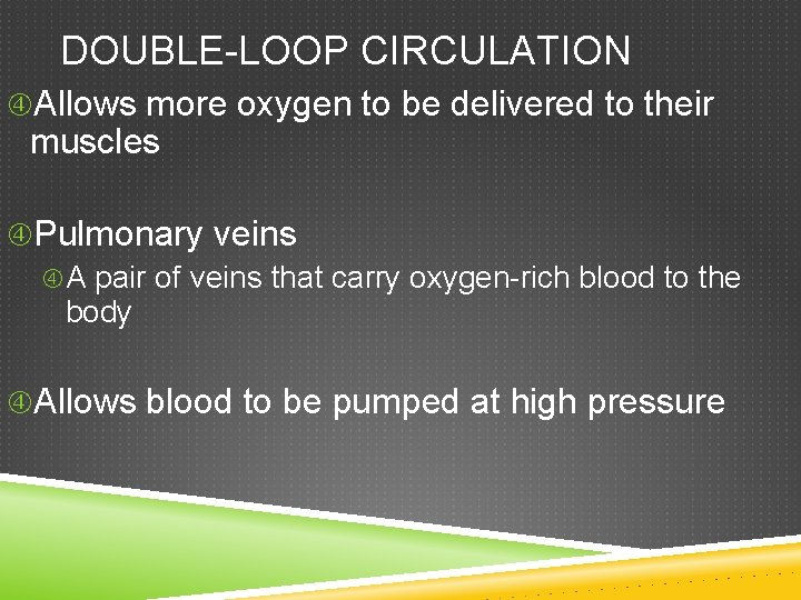 DOUBLE-LOOP CIRCULATION Allows more oxygen to be delivered to their muscles Pulmonary veins A