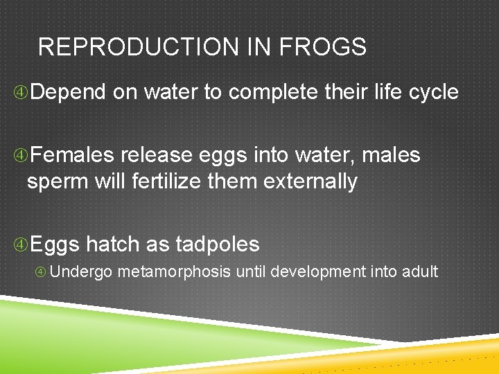 REPRODUCTION IN FROGS Depend on water to complete their life cycle Females release eggs