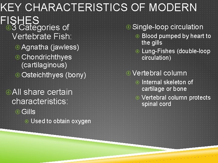 KEY CHARACTERISTICS OF MODERN FISHES Single-loop circulation 3 Categories of Vertebrate Fish: Agnatha (jawless)