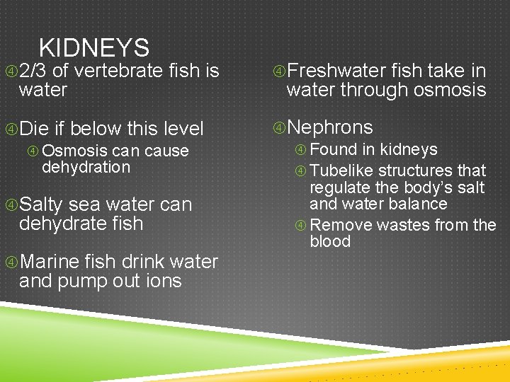 KIDNEYS 2/3 of vertebrate fish is Freshwater fish take in Die if below this