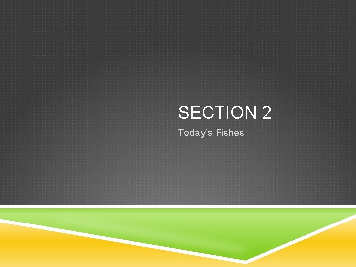 SECTION 2 Today’s Fishes 