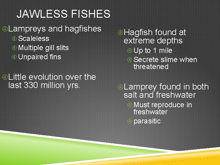 JAWLESS FISHES Lampreys and hagfishes Scaleless Multiple gill slits Unpaired fins Hagfish found at