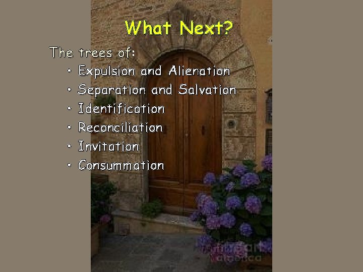 What Next? The • • • trees of: of Expulsion and Alienation Separation and