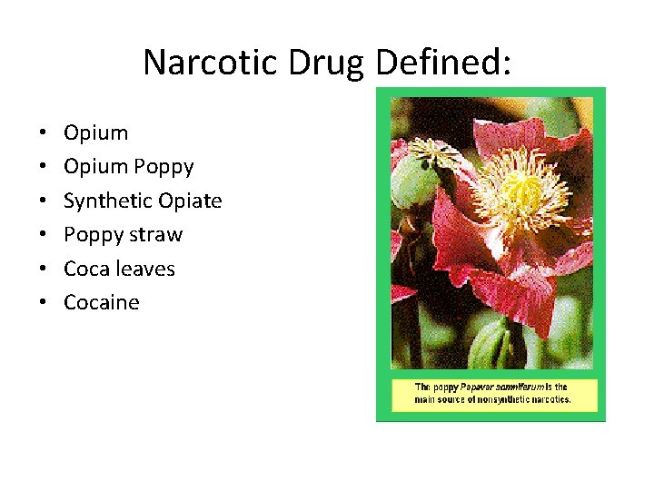 Narcotic Drug Defined: • • • Opium Poppy Synthetic Opiate Poppy straw Coca leaves