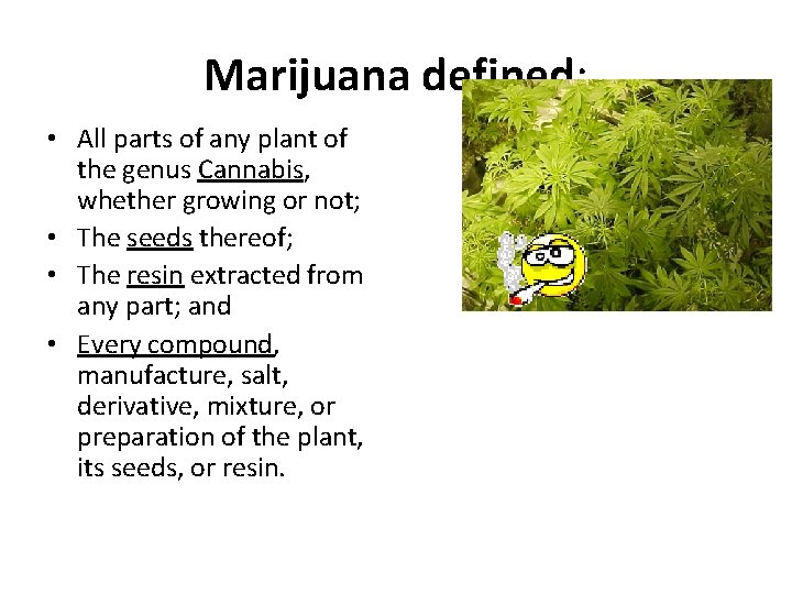 Marijuana defined: • All parts of any plant of the genus Cannabis, whether growing