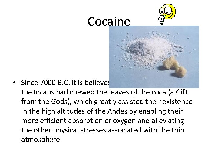Cocaine • Since 7000 B. C. it is believed that the Incans had chewed
