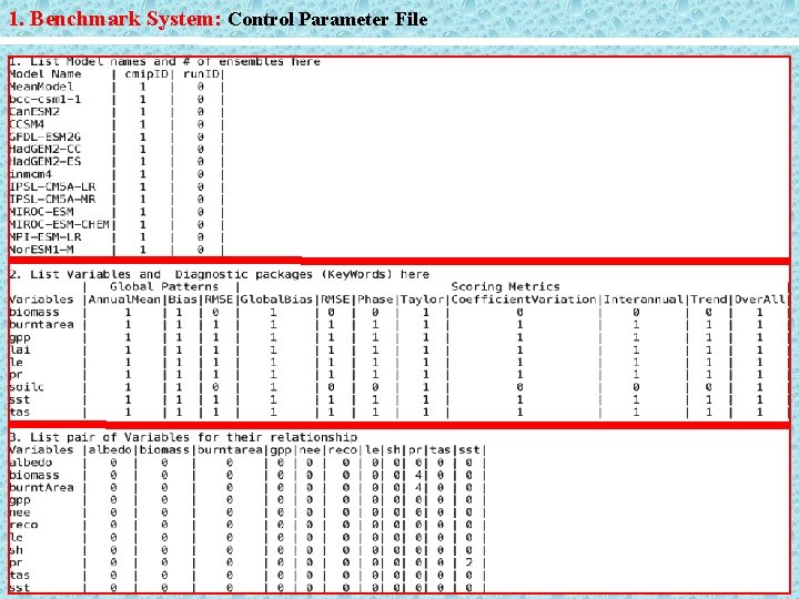 1. Benchmark System: Control Parameter File 