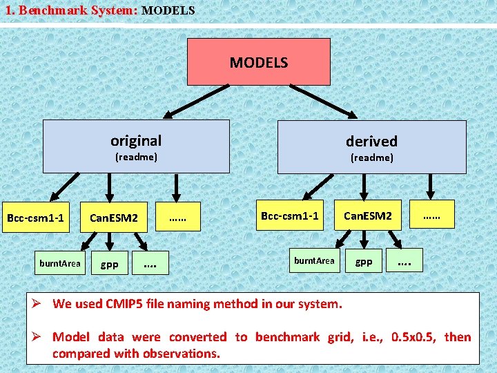 1. Benchmark System: MODELS original derived (readme) Bcc-csm 1 -1 burnt. Area …… Can.
