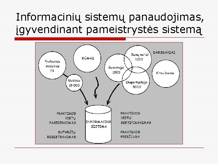 Informacinių sistemų panaudojimas, įgyvendinant pameistrystės sistemą 