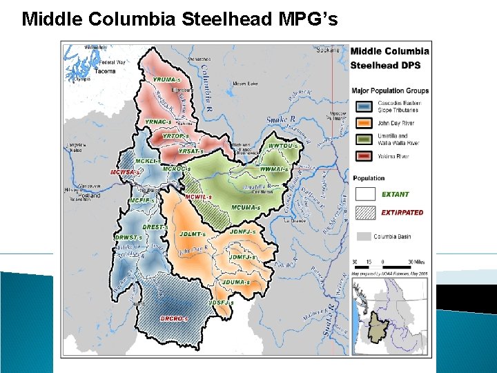 Middle Columbia Steelhead MPG’s 